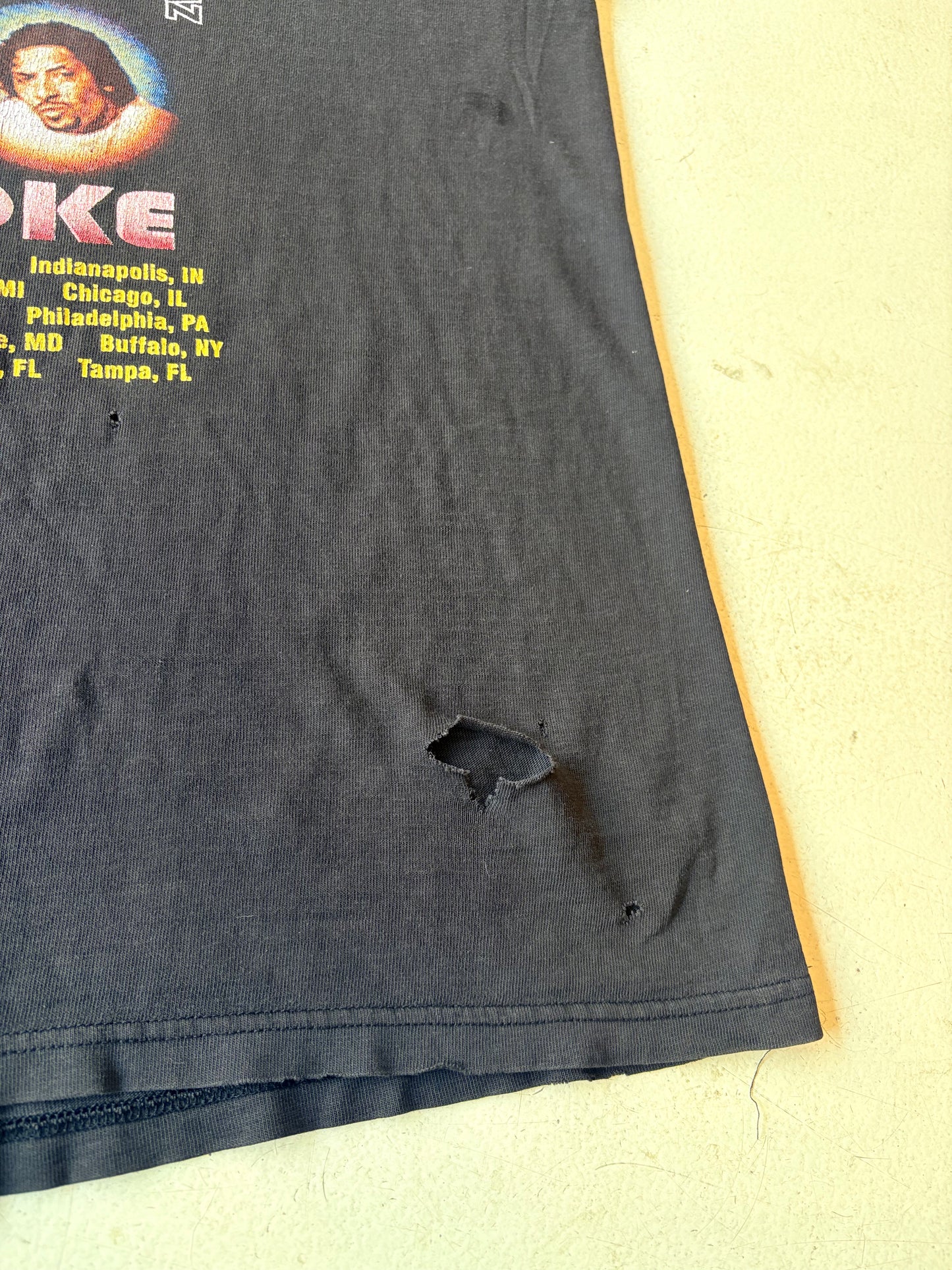 VINTAGE UP IN SMOKE TOUR TEE